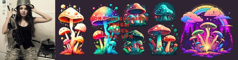 Псилоцибиновые грибы Magic Shrooms  Баймак 